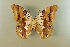  ( - AIV 040)  @12 [ ] Unspecified (default): All Rights Reserved  Unspecified Unspecified