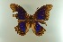  ( - AIV 042)  @13 [ ] Unspecified (default): All Rights Reserved  Unspecified Unspecified