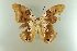 ( - AIV 042)  @12 [ ] Unspecified (default): All Rights Reserved  Unspecified Unspecified