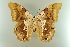  ( - AIV 043)  @12 [ ] Unspecified (default): All Rights Reserved  Unspecified Unspecified