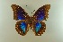 ( - AIV 048)  @13 [ ] Unspecified (default): All Rights Reserved  Unspecified Unspecified