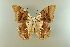  ( - AIV 048)  @12 [ ] Unspecified (default): All Rights Reserved  Unspecified Unspecified
