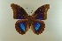  ( - AIV 049)  @13 [ ] Unspecified (default): All Rights Reserved  Unspecified Unspecified