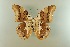  ( - AIV 049)  @12 [ ] Unspecified (default): All Rights Reserved  Unspecified Unspecified