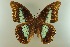  ( - AIV 050)  @13 [ ] Unspecified (default): All Rights Reserved  Unspecified Unspecified