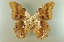  ( - AIV 050)  @12 [ ] Unspecified (default): All Rights Reserved  Unspecified Unspecified