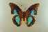  ( - AIV 052)  @14 [ ] Unspecified (default): All Rights Reserved  Unspecified Unspecified
