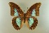  ( - AIV 053)  @13 [ ] Unspecified (default): All Rights Reserved  Unspecified Unspecified