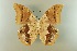  ( - AIV 053)  @12 [ ] Unspecified (default): All Rights Reserved  Unspecified Unspecified