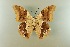  ( - AIV 052)  @12 [ ] Unspecified (default): All Rights Reserved  Unspecified Unspecified