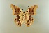  ( - AIV 054)  @12 [ ] Unspecified (default): All Rights Reserved  Unspecified Unspecified