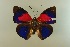  ( - AIV 066)  @14 [ ] Unspecified (default): All Rights Reserved  Unspecified Unspecified