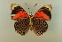  ( - AIV 066)  @13 [ ] Unspecified (default): All Rights Reserved  Unspecified Unspecified