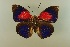  ( - AIV 067)  @11 [ ] Unspecified (default): All Rights Reserved  Unspecified Unspecified
