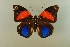  ( - AIV 069)  @13 [ ] Unspecified (default): All Rights Reserved  Unspecified Unspecified