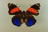  ( - AIV 070)  @11 [ ] Unspecified (default): All Rights Reserved  Unspecified Unspecified