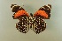  ( - AIV 070)  @11 [ ] Unspecified (default): All Rights Reserved  Unspecified Unspecified