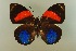  ( - AIV 071)  @11 [ ] Unspecified (default): All Rights Reserved  Unspecified Unspecified
