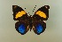  ( - AIV 072)  @13 [ ] Unspecified (default): All Rights Reserved  Unspecified Unspecified
