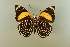  ( - AIV 072)  @13 [ ] Unspecified (default): All Rights Reserved  Unspecified Unspecified