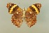  ( - AIV 086)  @11 [ ] Unspecified (default): All Rights Reserved  Unspecified Unspecified