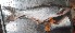  ( - MOUN3)  @11 [ ] Unspecified (default): All Rights Reserved  Unspecified Unspecified