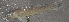  ( - 29857.01)  @12 [ ] Unspecified (default): All Rights Reserved  Unspecified Unspecified