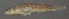  ( - 30346.05)  @12 [ ] Unspecified (default): All Rights Reserved  Unspecified Unspecified
