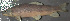  ( - 30357.02)  @12 [ ] Unspecified (default): All Rights Reserved  Unspecified Unspecified