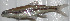  ( - 30364.02)  @13 [ ] Unspecified (default): All Rights Reserved  Unspecified Unspecified