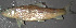  ( - 31469)  @13 [ ] Unspecified (default): All Rights Reserved  Unspecified Unspecified