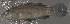 ( - 31678.02)  @12 [ ] Unspecified (default): All Rights Reserved  Unspecified Unspecified
