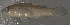  ( - 31678.04)  @12 [ ] Unspecified (default): All Rights Reserved  Unspecified Unspecified