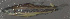  ( - 33210.04)  @13 [ ] Unspecified (default): All Rights Reserved  Unspecified Unspecified