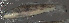  ( - 43600.03)  @12 [ ] Unspecified (default): All Rights Reserved  Unspecified Unspecified