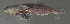  ( - 44025.01)  @12 [ ] Unspecified (default): All Rights Reserved  Unspecified Unspecified