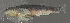  ( - 44025.02)  @12 [ ] Unspecified (default): All Rights Reserved  Unspecified Unspecified