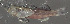  ( - 44025.03)  @12 [ ] Unspecified (default): All Rights Reserved  Unspecified Unspecified