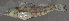  ( - 44025.05)  @12 [ ] Unspecified (default): All Rights Reserved  Unspecified Unspecified