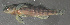  ( - 44039.01)  @12 [ ] Unspecified (default): All Rights Reserved  Unspecified Unspecified