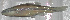  ( - 44383)  @11 [ ] Unspecified (default): All Rights Reserved  Unspecified Unspecified