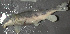  ( - 46299.01)  @13 [ ] Unspecified (default): All Rights Reserved  Unspecified Unspecified
