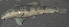  ( - 46299.02)  @13 [ ] Unspecified (default): All Rights Reserved  Unspecified Unspecified