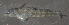  ( - 46709.02)  @12 [ ] Unspecified (default): All Rights Reserved  Unspecified Unspecified
