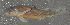  ( - 47118.02)  @12 [ ] Unspecified (default): All Rights Reserved  Unspecified Unspecified