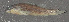  ( - 47118.03)  @12 [ ] Unspecified (default): All Rights Reserved  Unspecified Unspecified