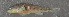  ( - 47118.04)  @12 [ ] Unspecified (default): All Rights Reserved  Unspecified Unspecified