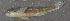  ( - 47118.05)  @12 [ ] Unspecified (default): All Rights Reserved  Unspecified Unspecified