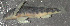  ( - 47582.01)  @12 [ ] Unspecified (default): All Rights Reserved  Unspecified Unspecified