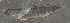 ( - 47582.03)  @12 [ ] Unspecified (default): All Rights Reserved  Unspecified Unspecified